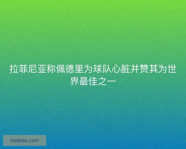 拉菲尼亚称佩德里为球队心脏并赞其为世界最佳之一