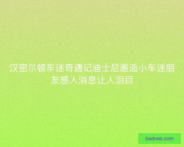 汉密尔顿车迷奇遇记迪士尼邂逅小车迷朋友感人消息让人泪目 汉密尔顿车迷奇遇记迪士尼邂逅小车迷朋友感人消息让人泪目